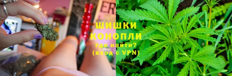 Канабис SATIVA & INDICA  сайты даркнета какой сайт  Зубцов 